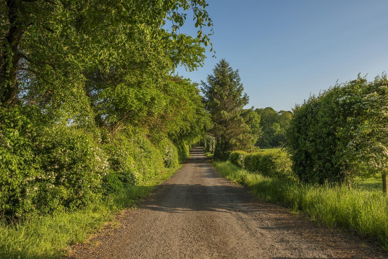 Mill Lodge B&B Banbridge Zewnętrze zdjęcie